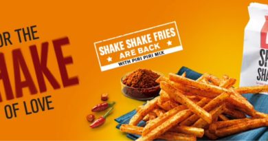 McDonald's Shake Shake Fries