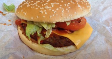Burger King Spanish Whopper