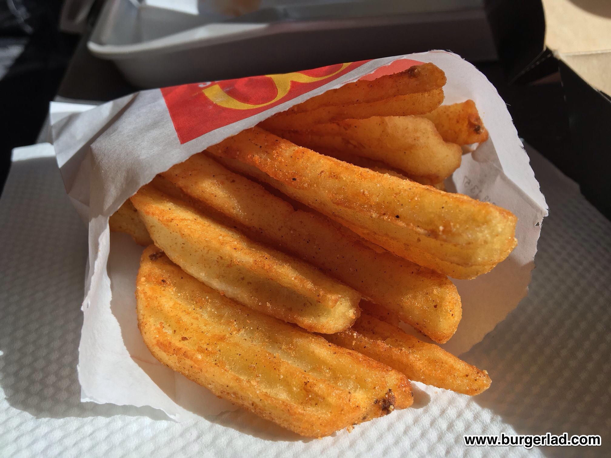 McDonald's Steak House Fries