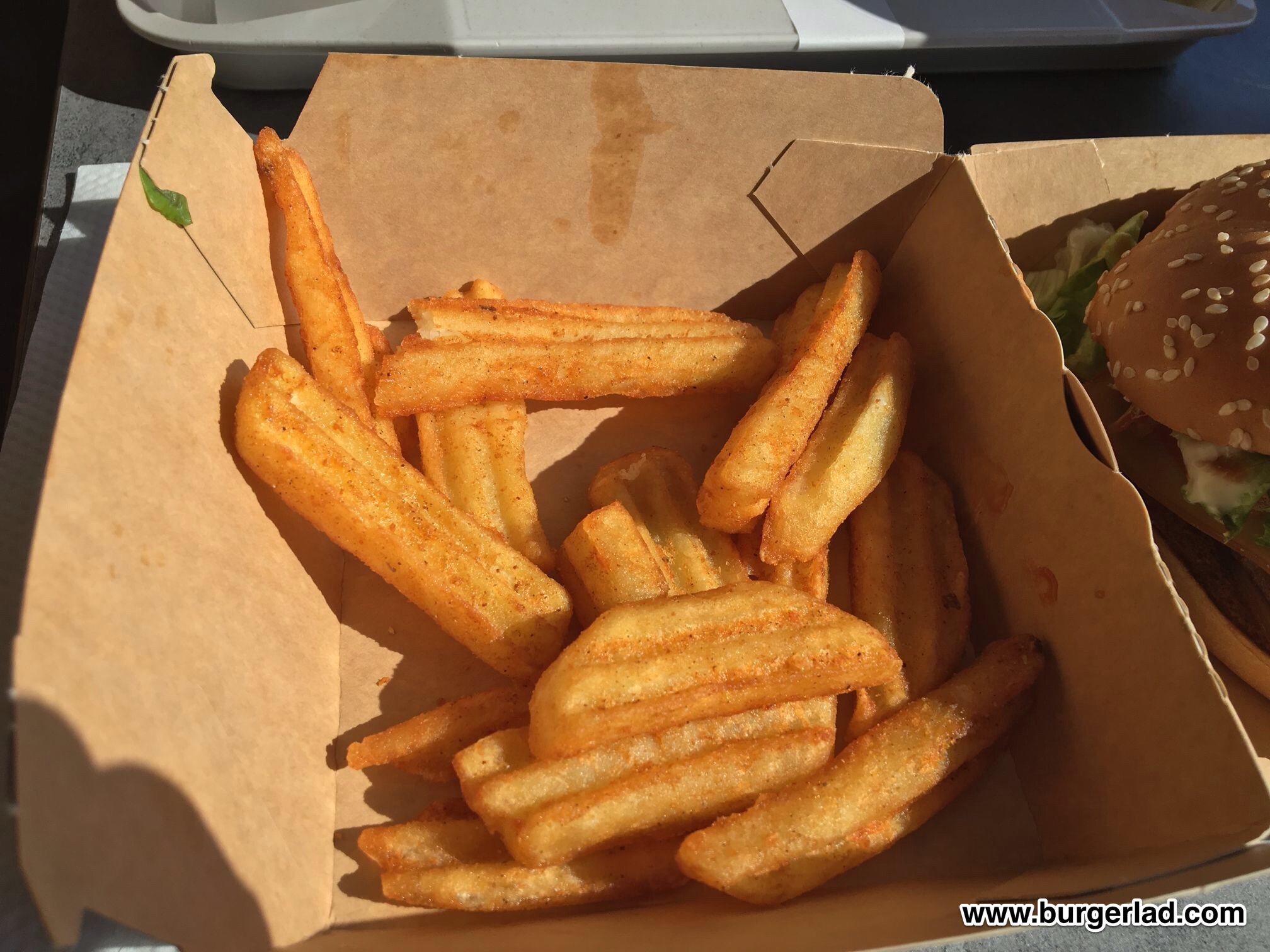 McDonald's Steak House Fries